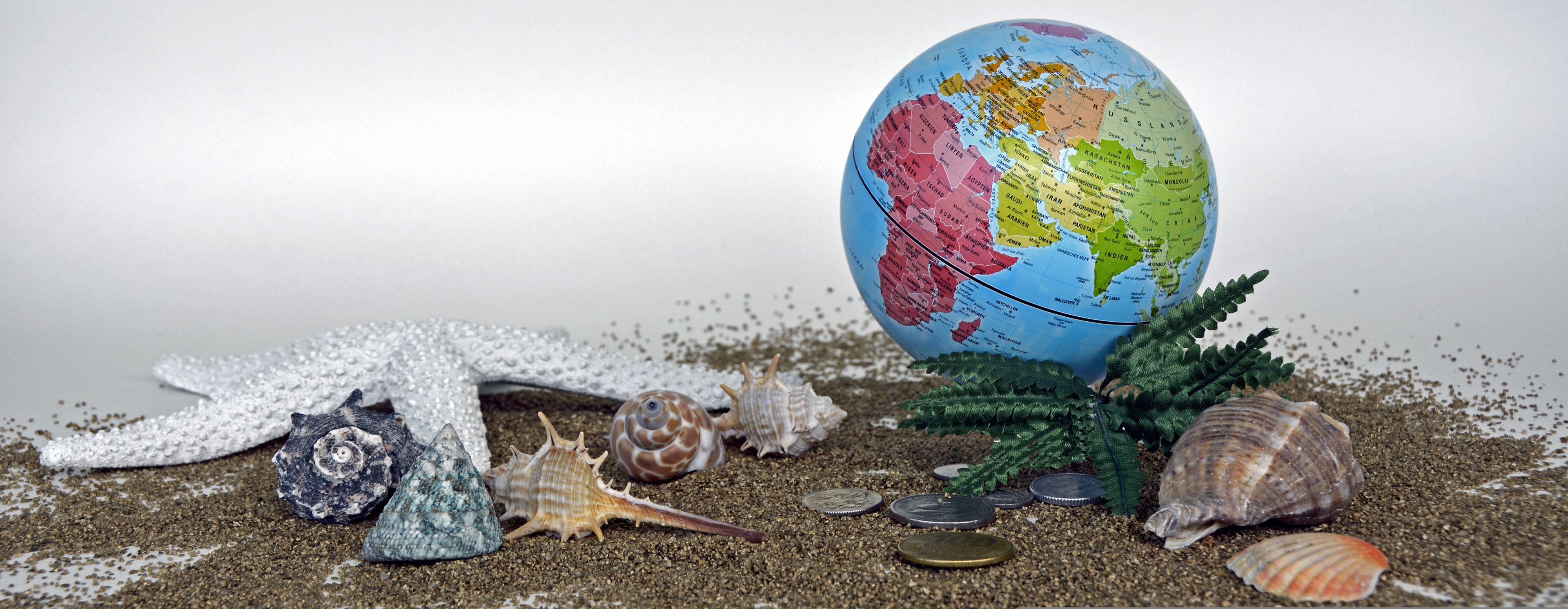 Immersive wildlife and travel experiences
