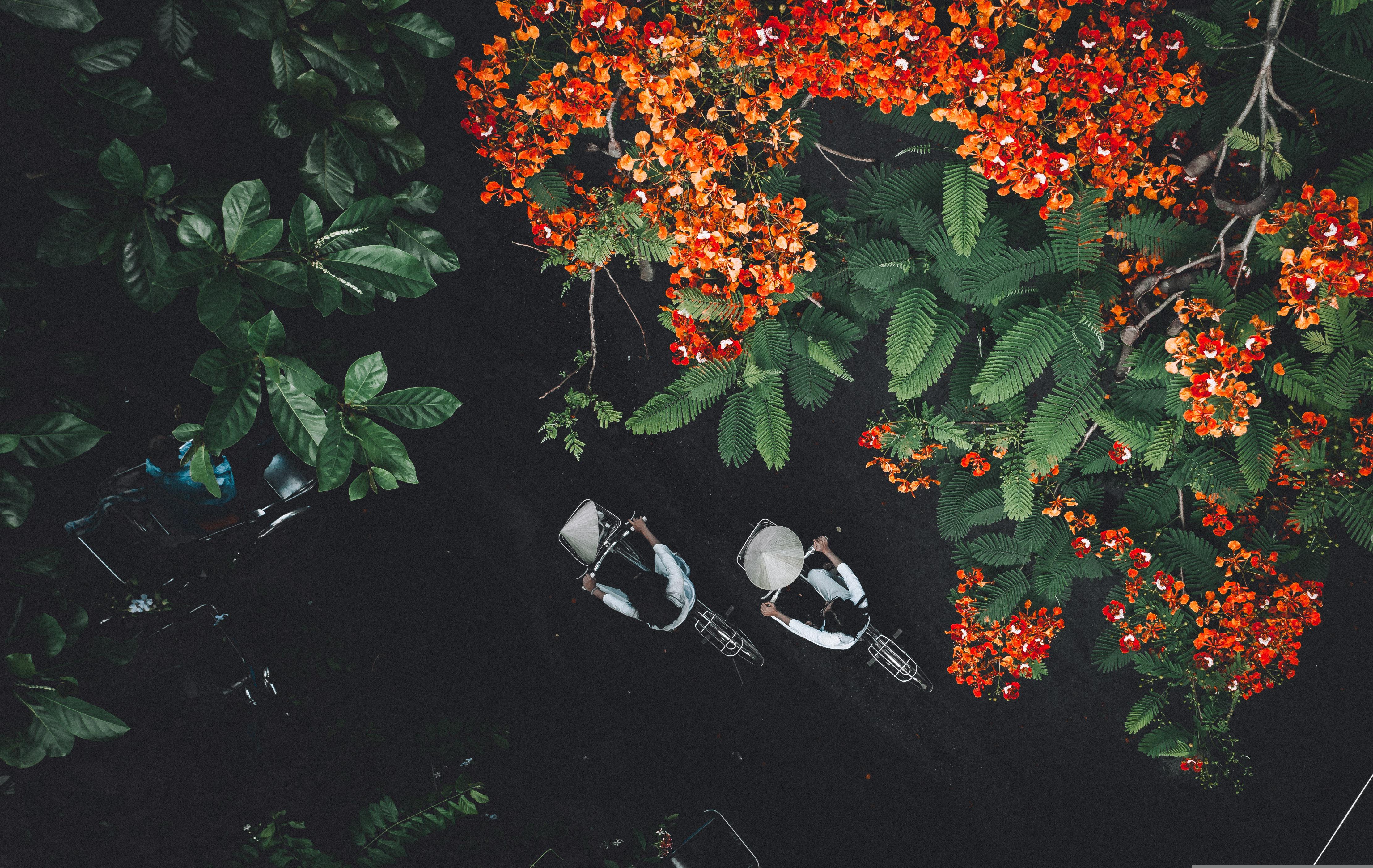 Wildlife safari