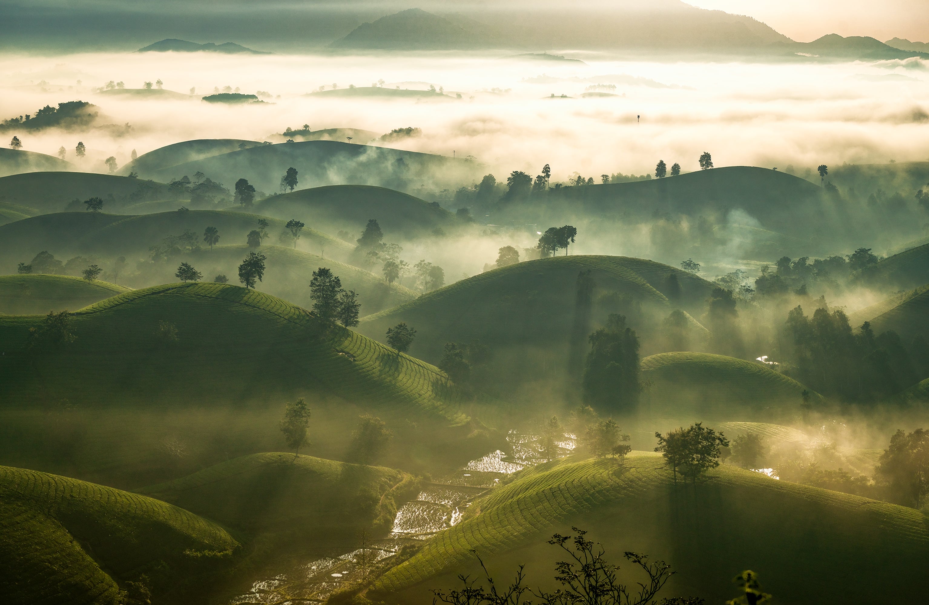Vietnam Discovery - image 1